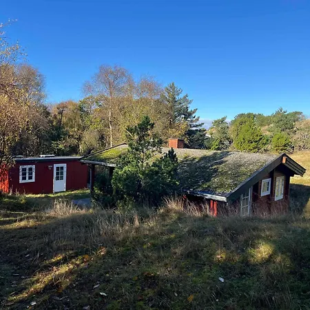 Log On Near And Nature * Fanø
